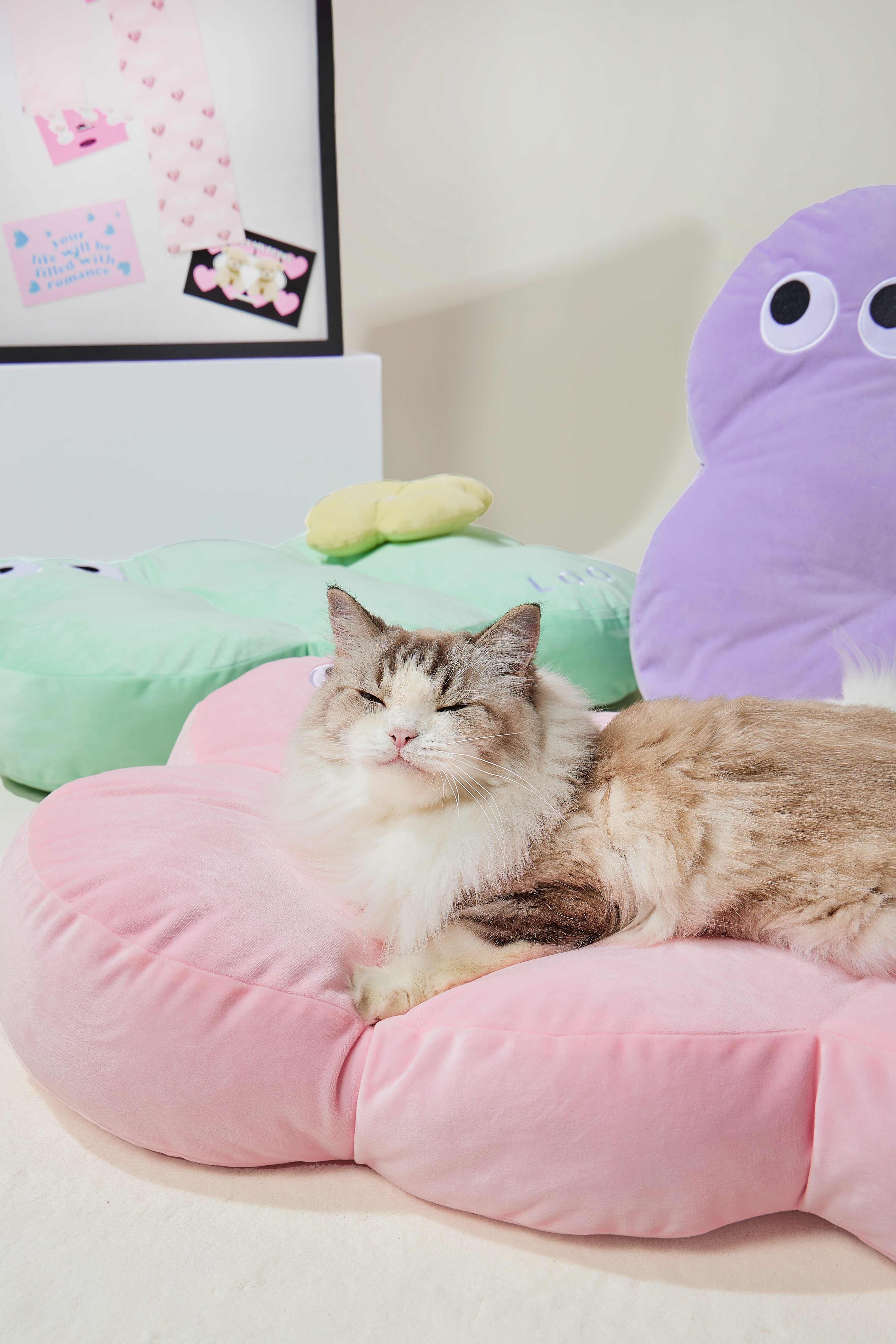 Cookie Nest - Pink