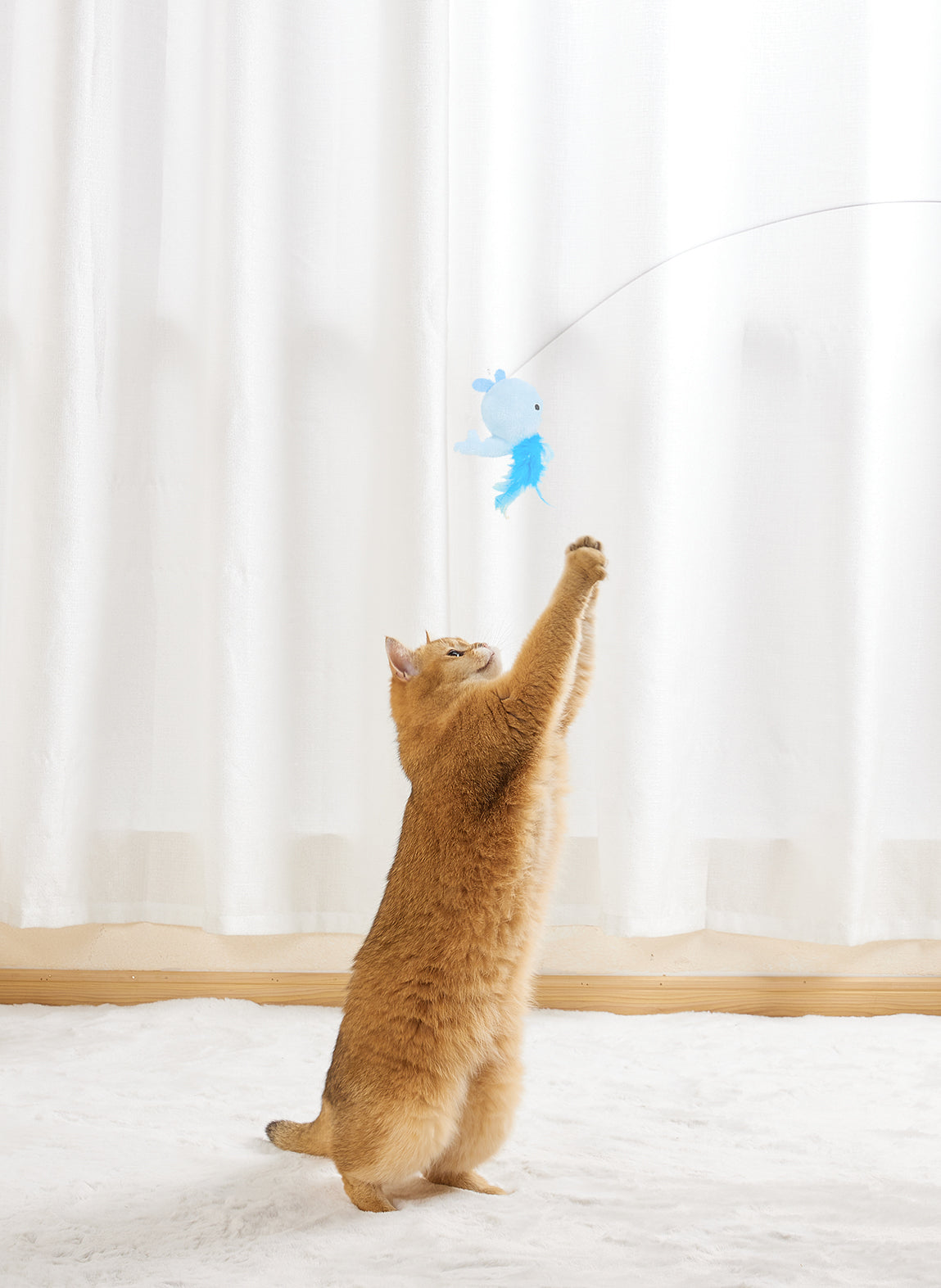 Animal Series Suction Cup Cat Toy - Whale