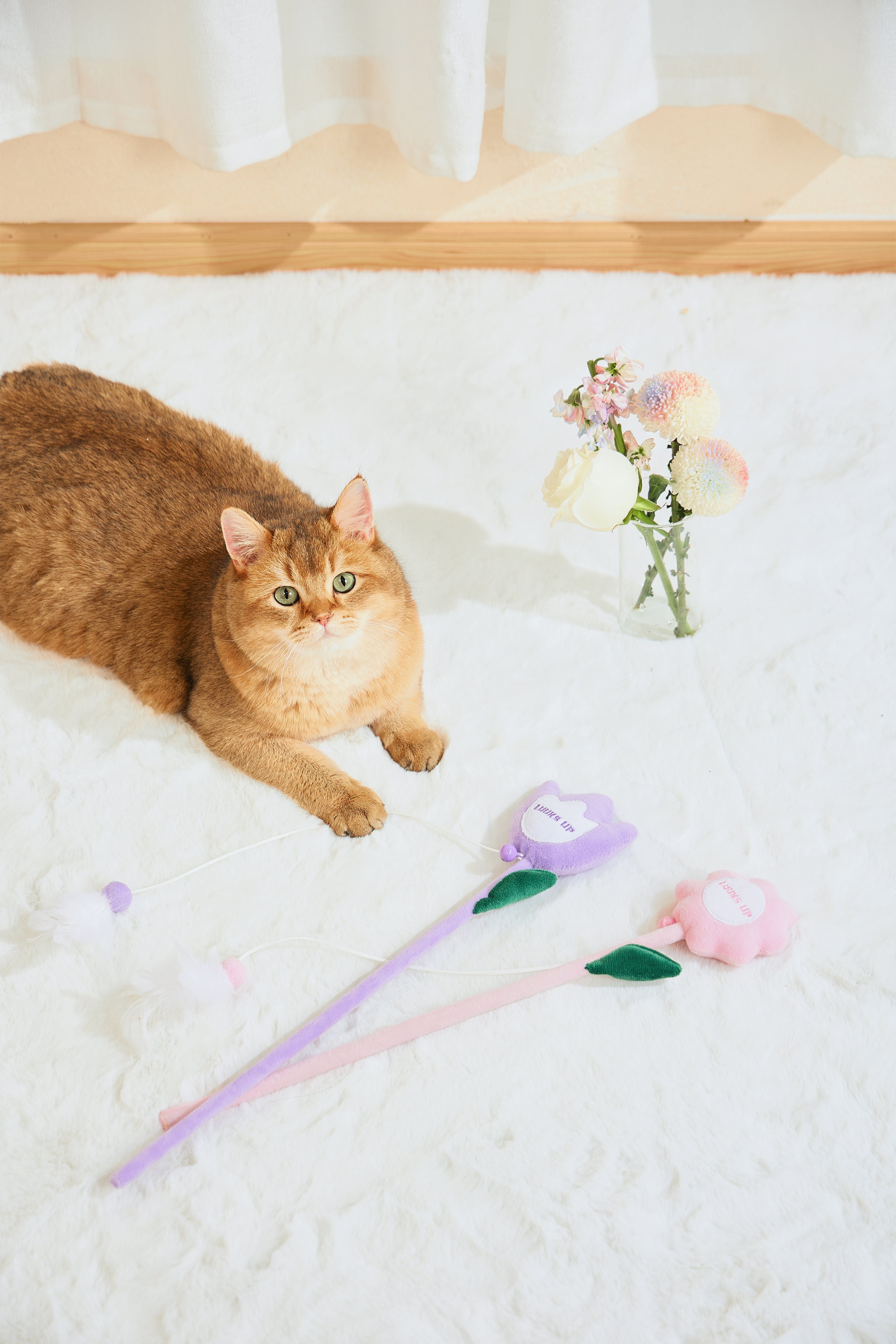 Cat Teaser - a Bouquet Of Tulips