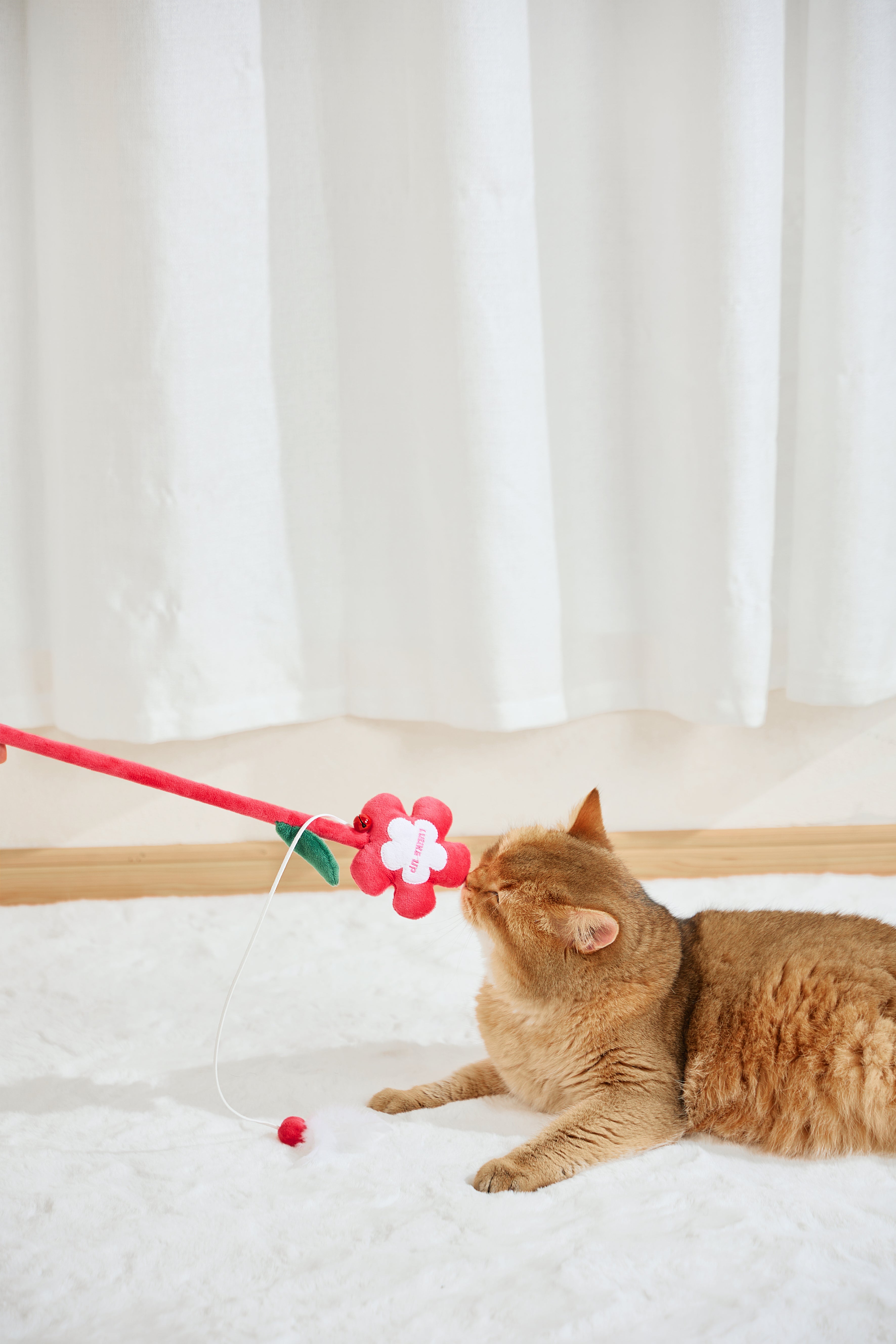 Flower Cat Toy - A Bouquet of Corolla