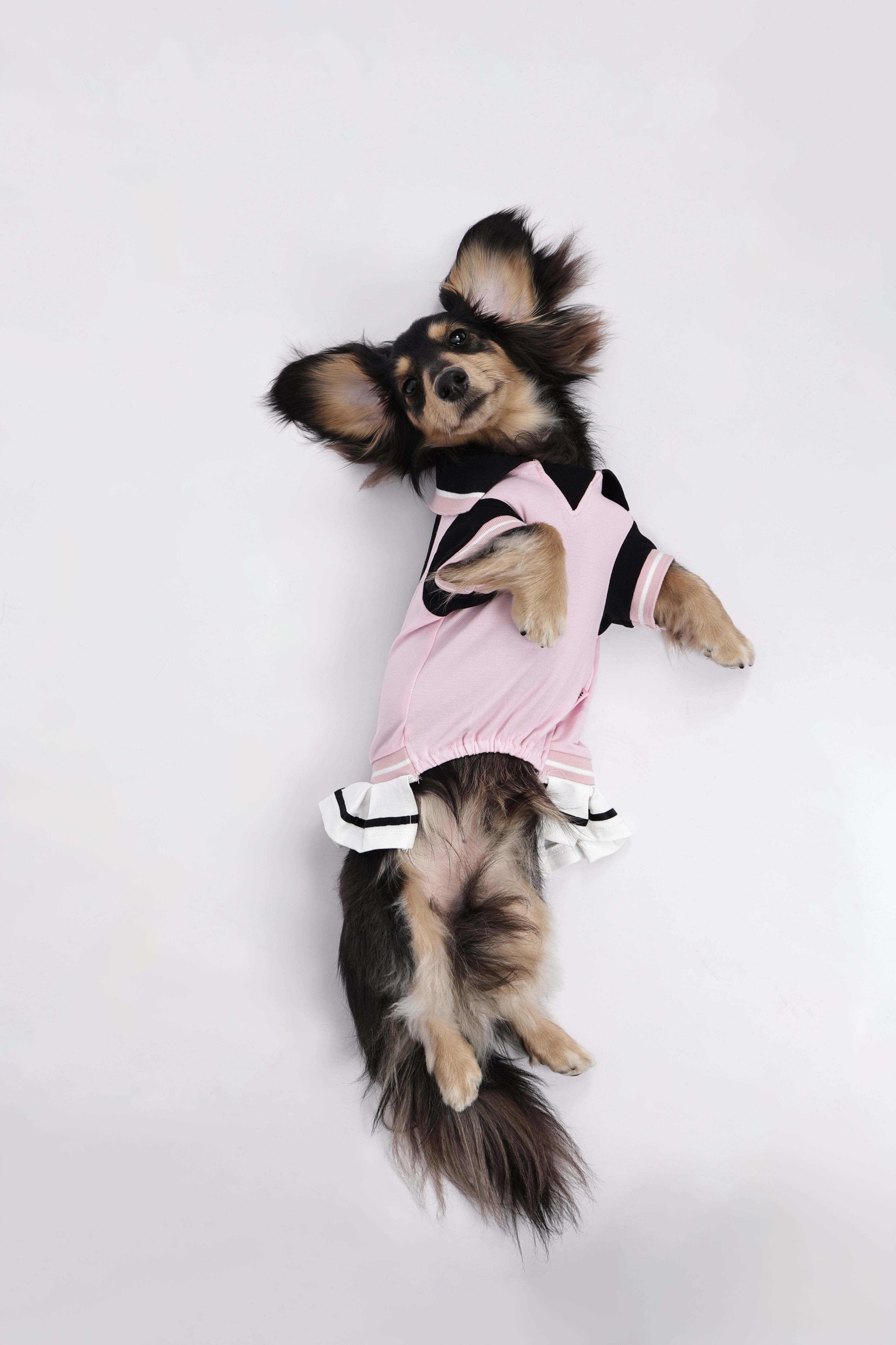 URBAN SPORT Tennis pet skirt