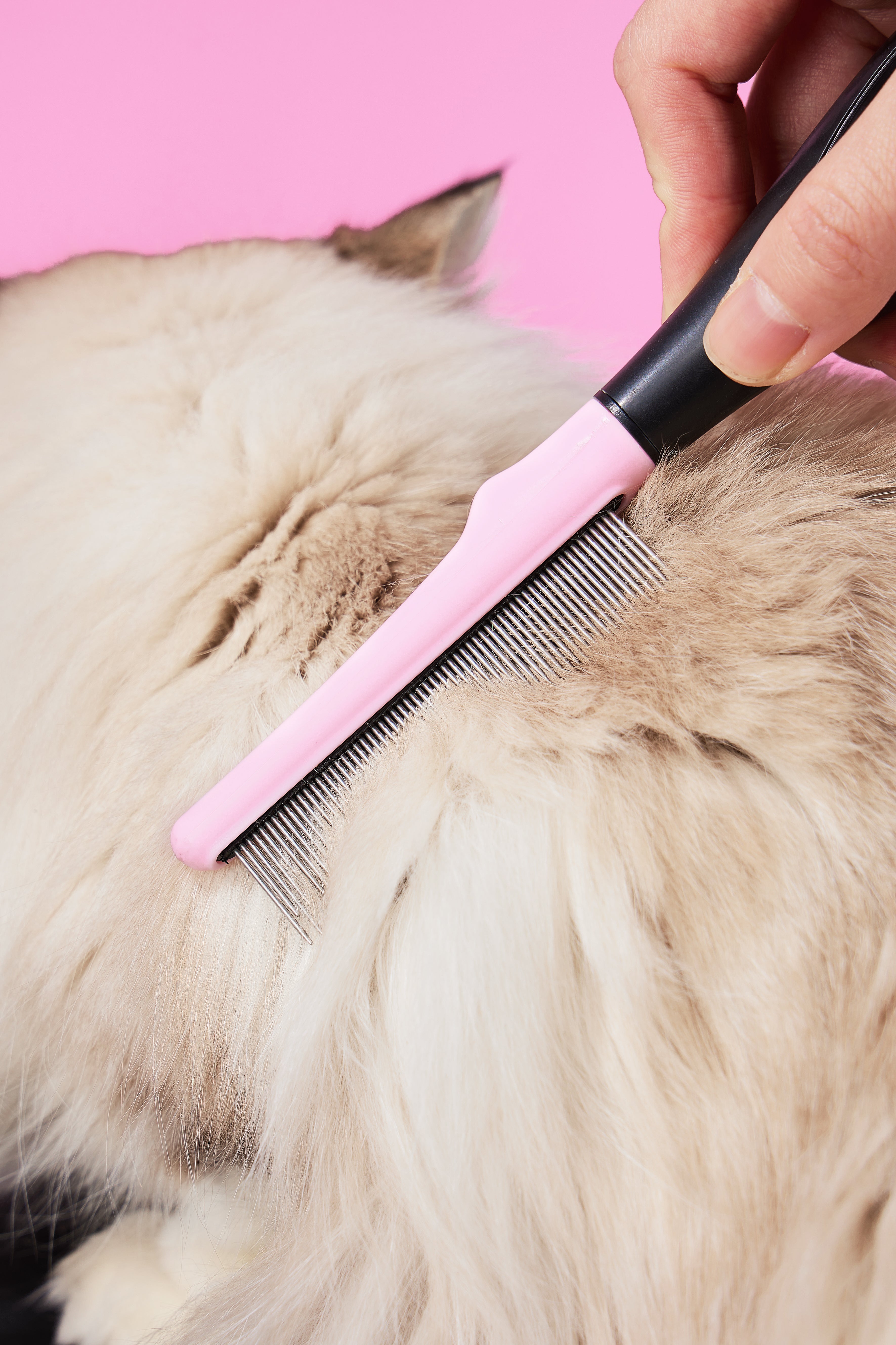 Pet Comb