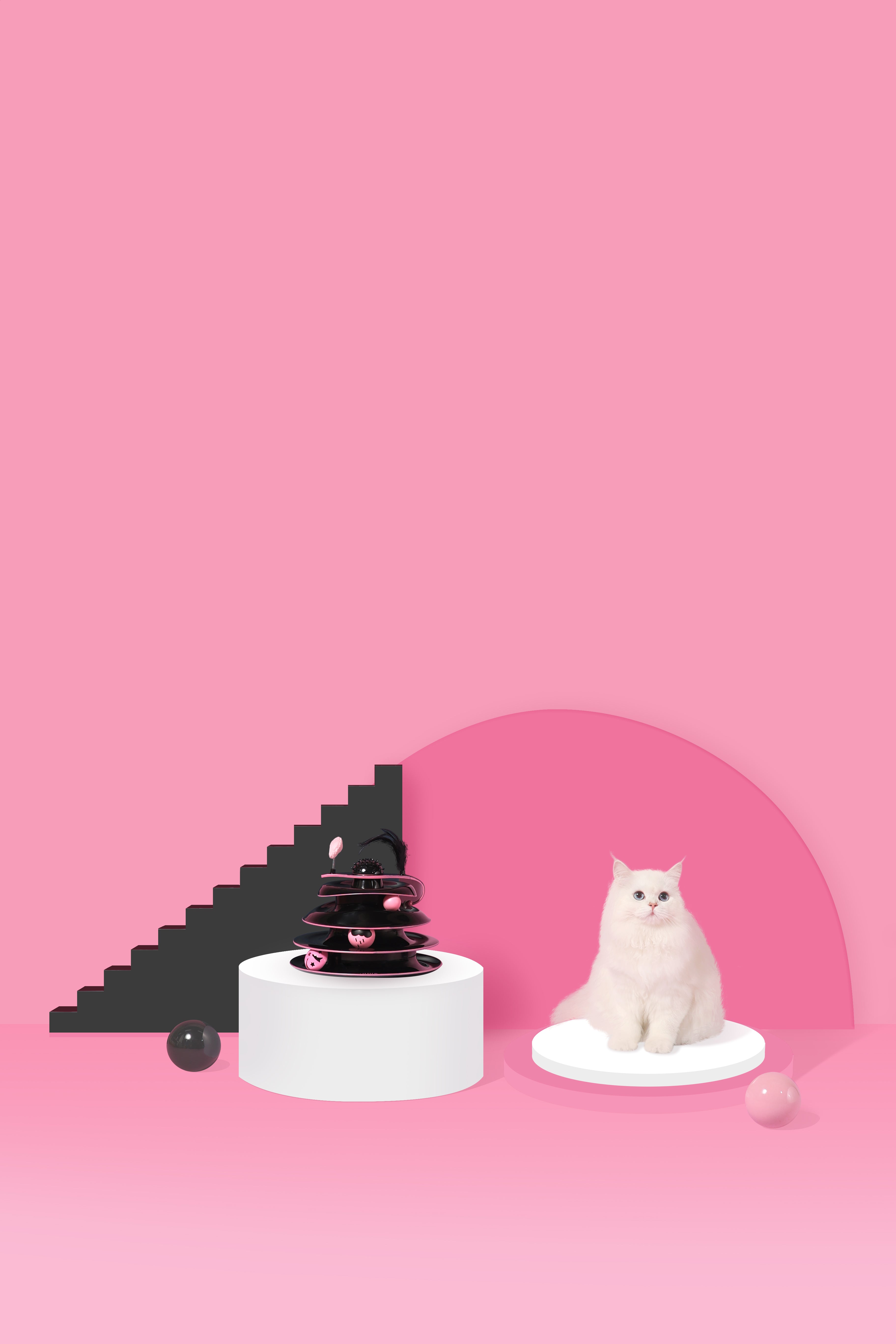 Galaxy Spin Interactive Cat Toy