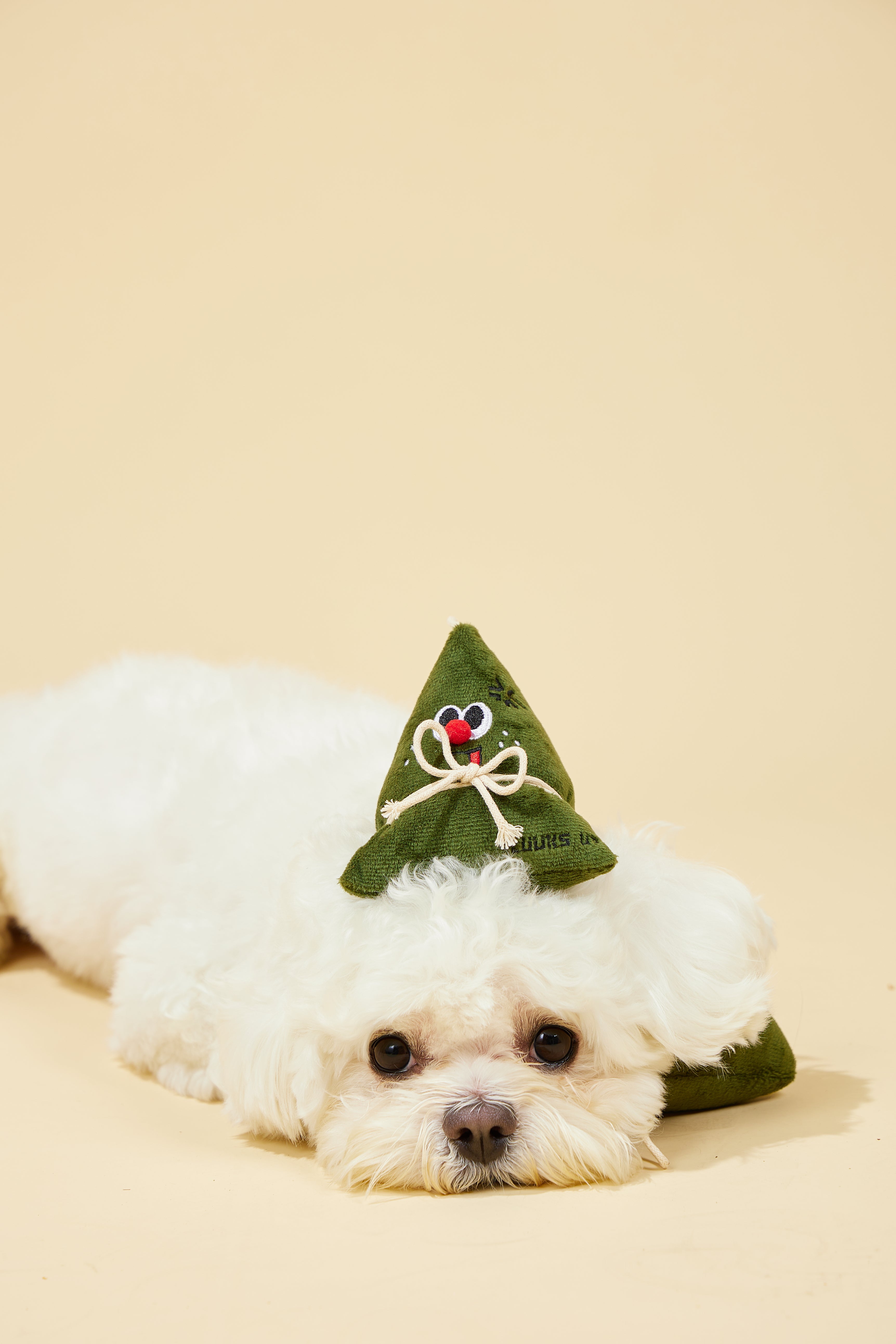 Zongzi Squeaky Dog Toy