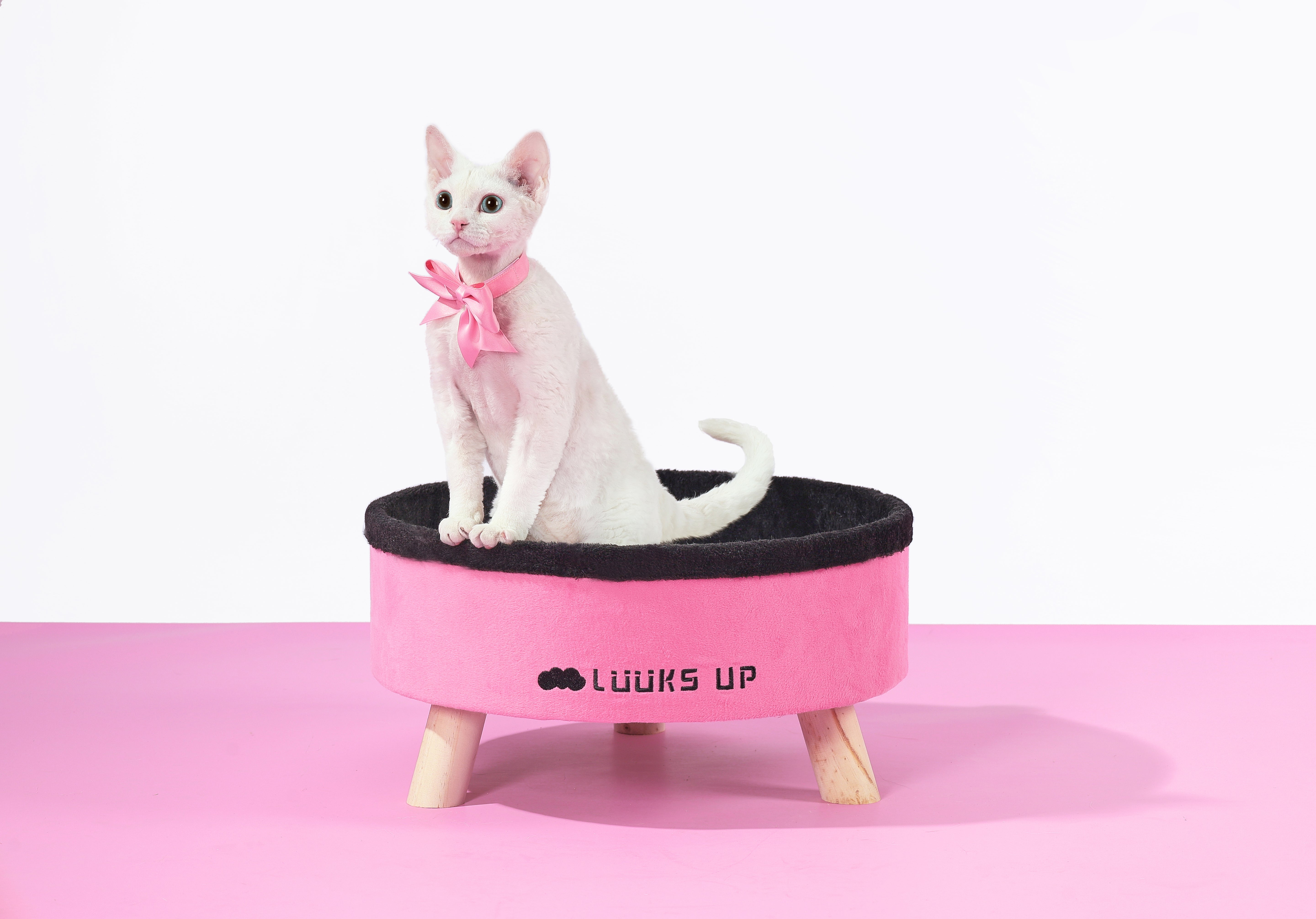Cloud Round Cat Bed