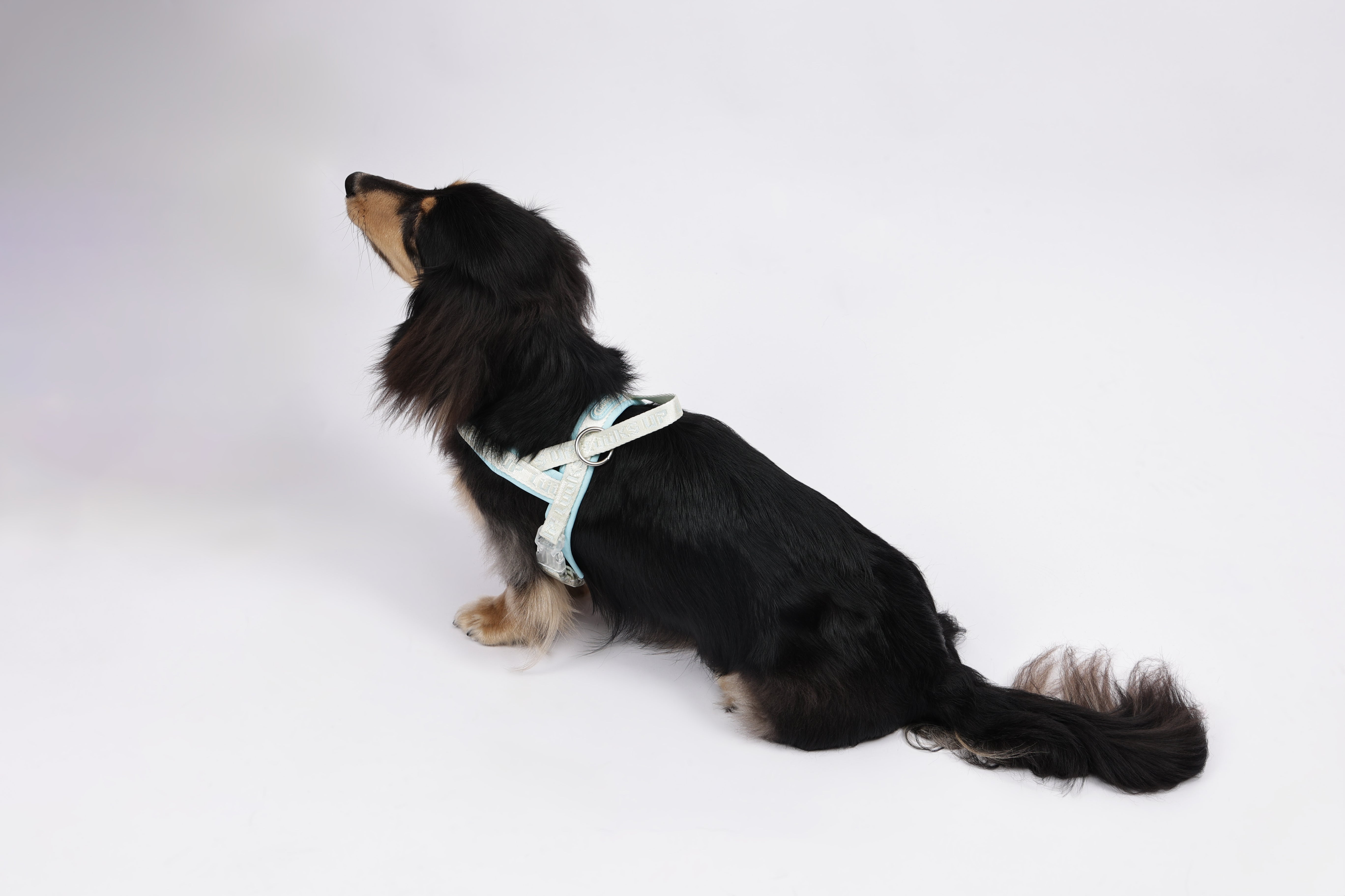 URBAN SPORT Dog saddle harness - Blue white