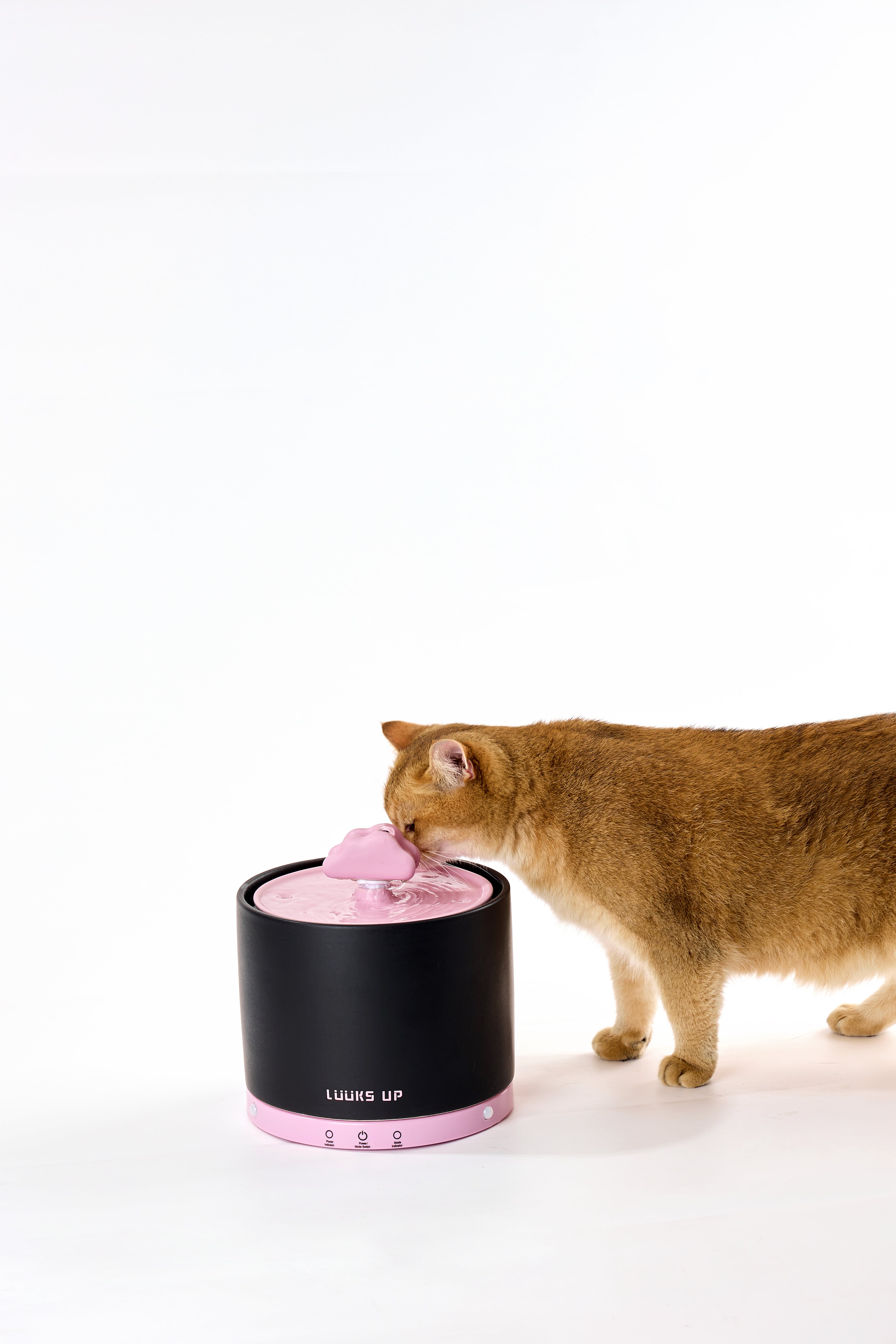 Cloud Rain Infinity Ceramic Water Dispenser - Pink
