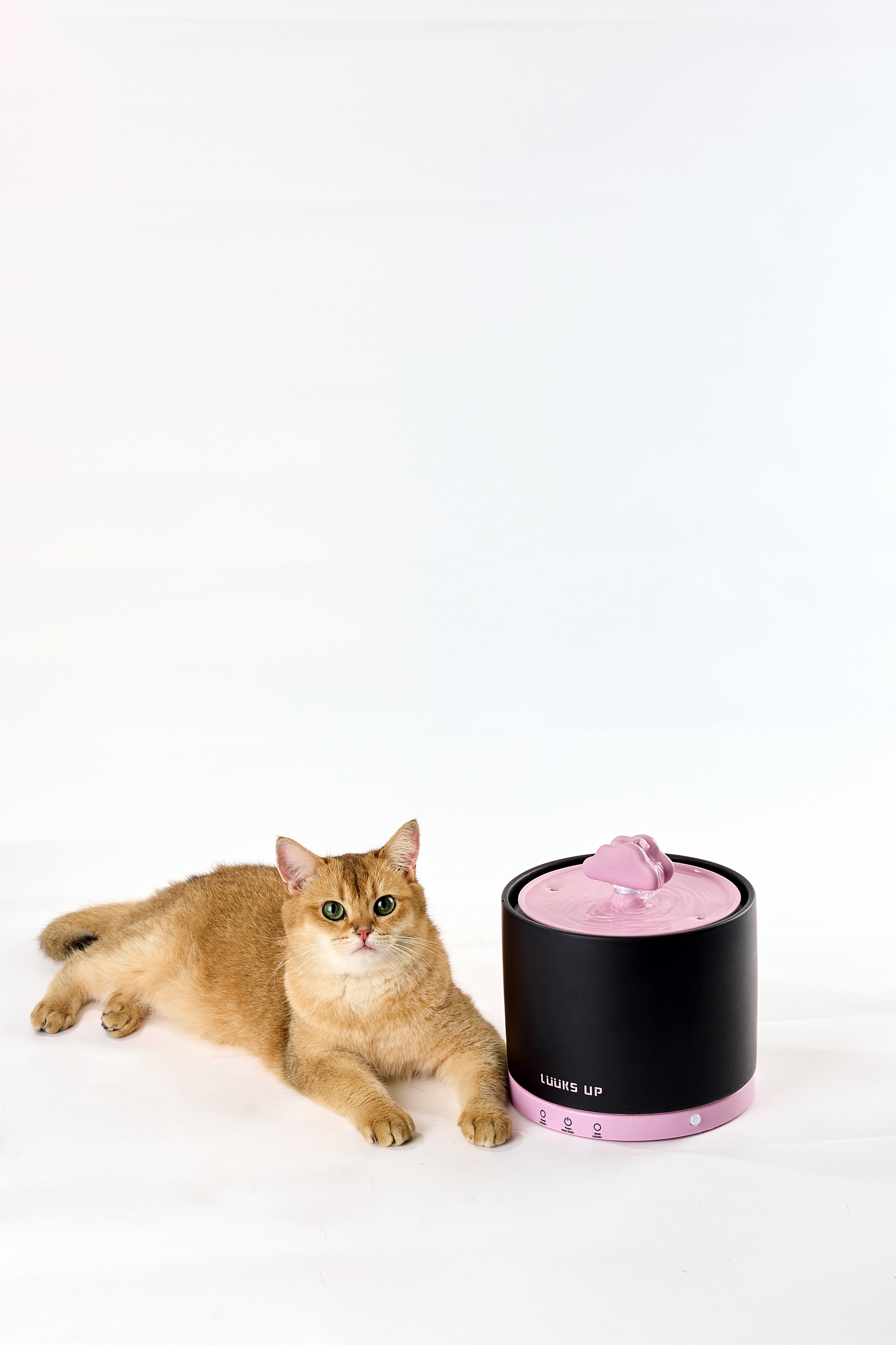 Ceramic Drinking Fountain - Cloud Drop (Pink)