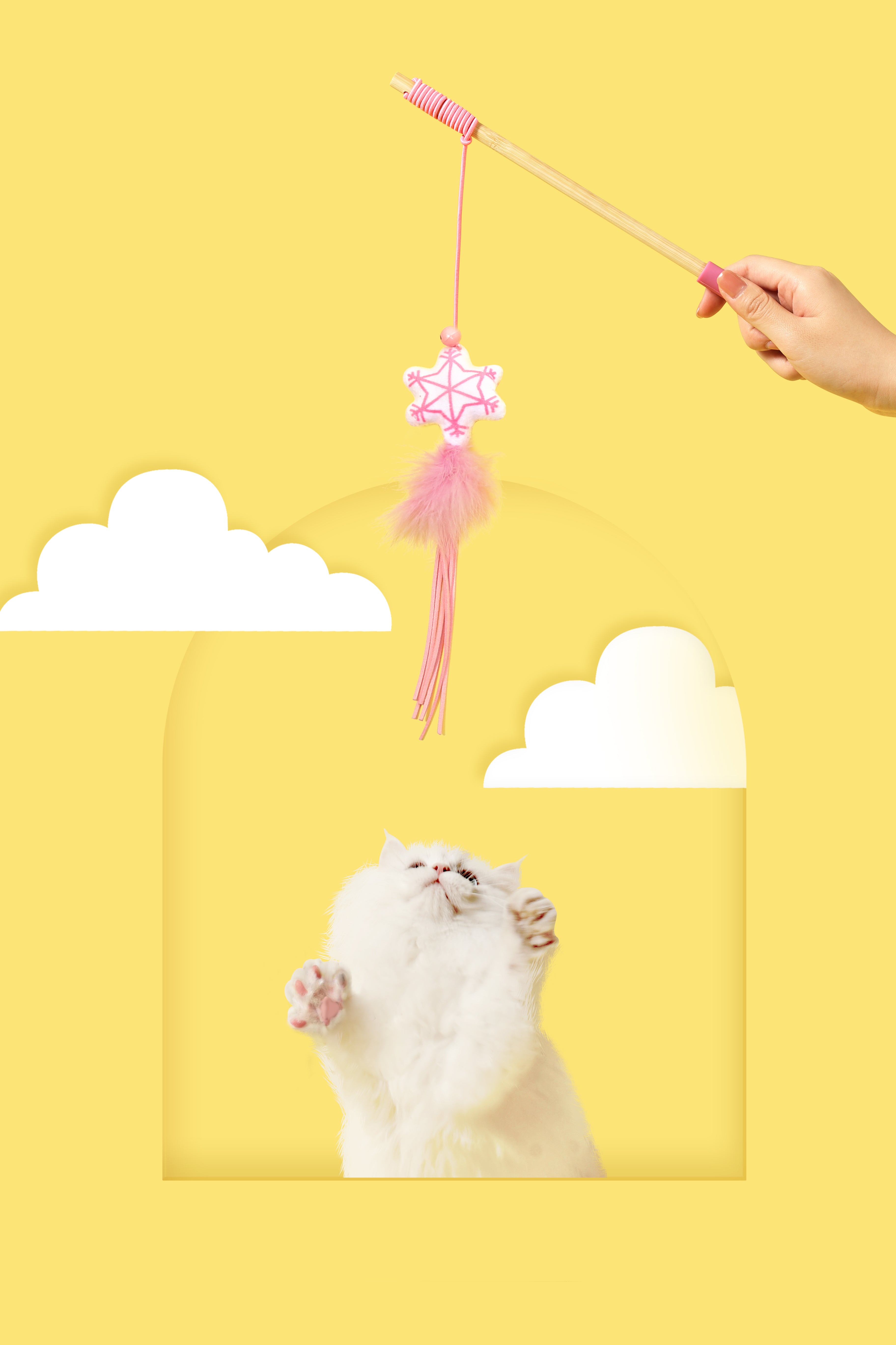 Cat Teaser - Snow
