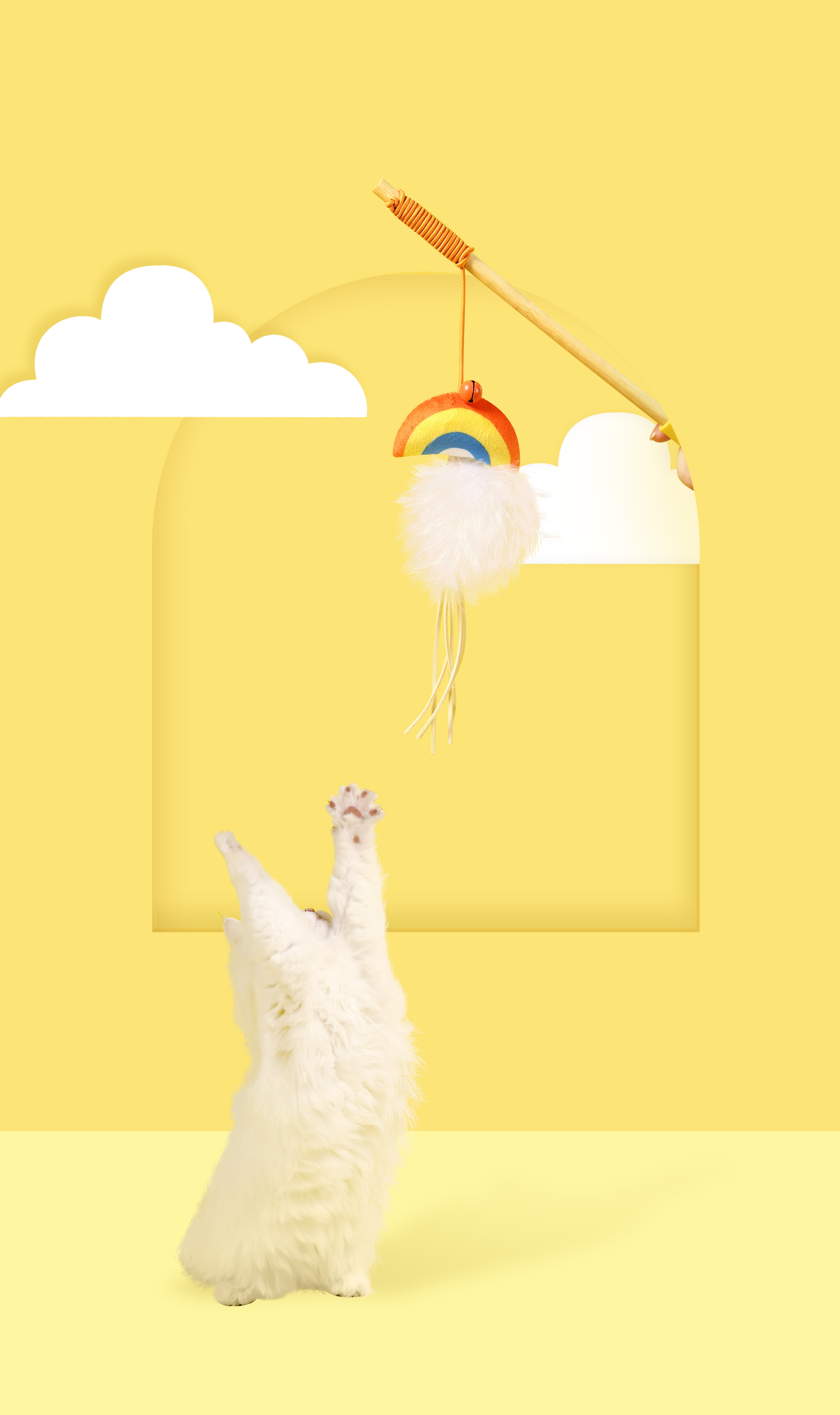 Cat Teaser - Rainbow