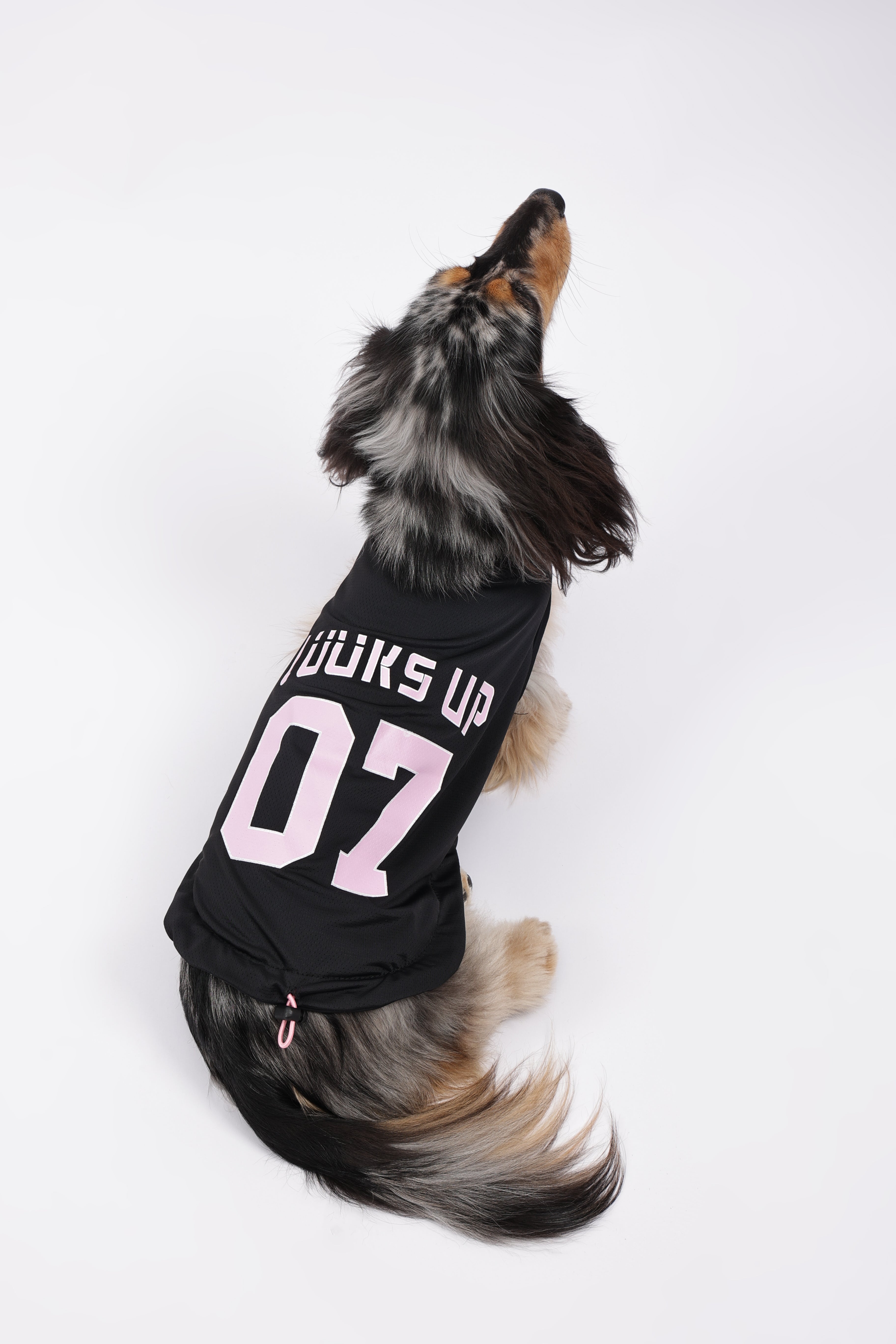 URBAN SPORT Basketball pet jersey