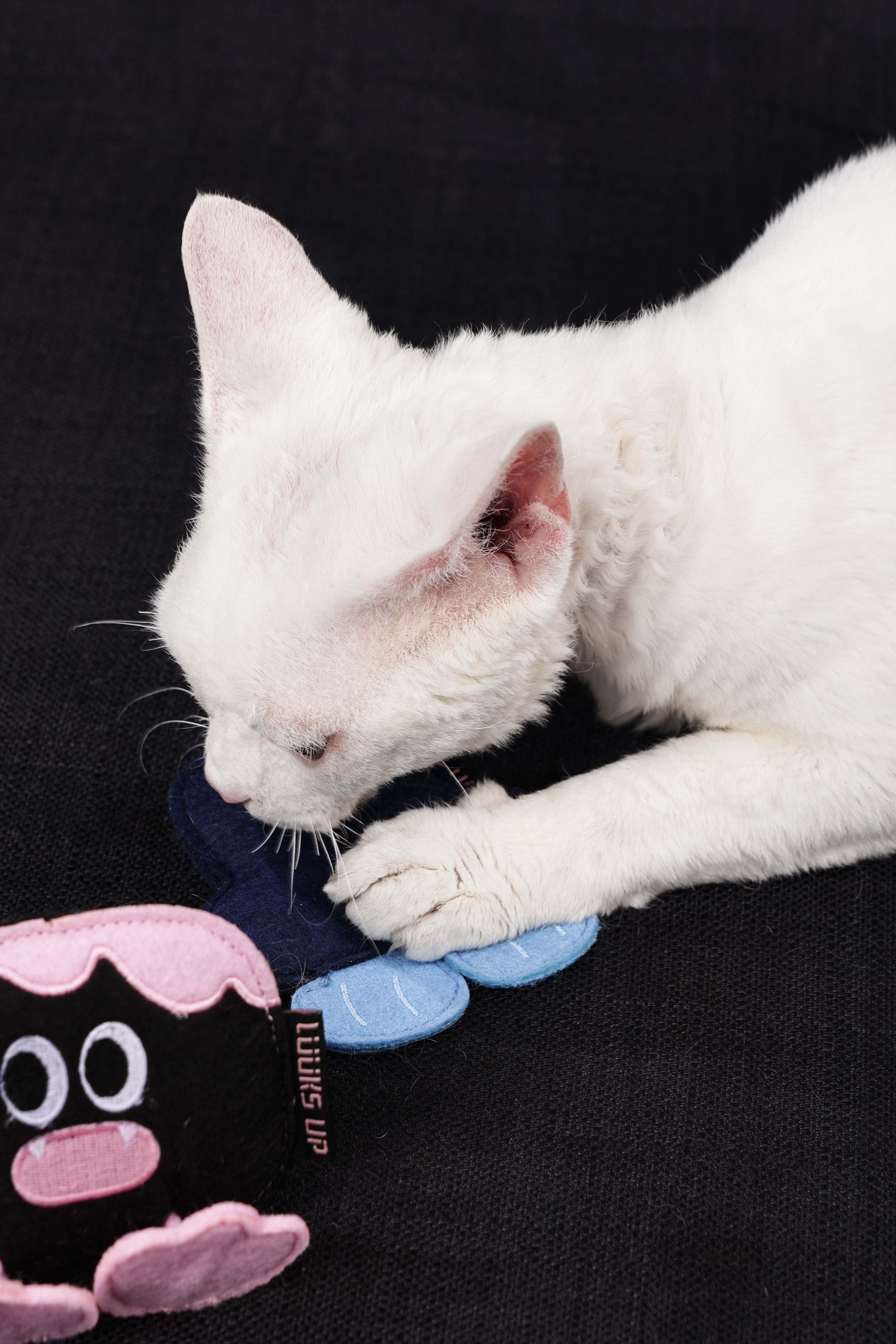 Monster Catnip Toy  - 2 Eyed Monster - Pink