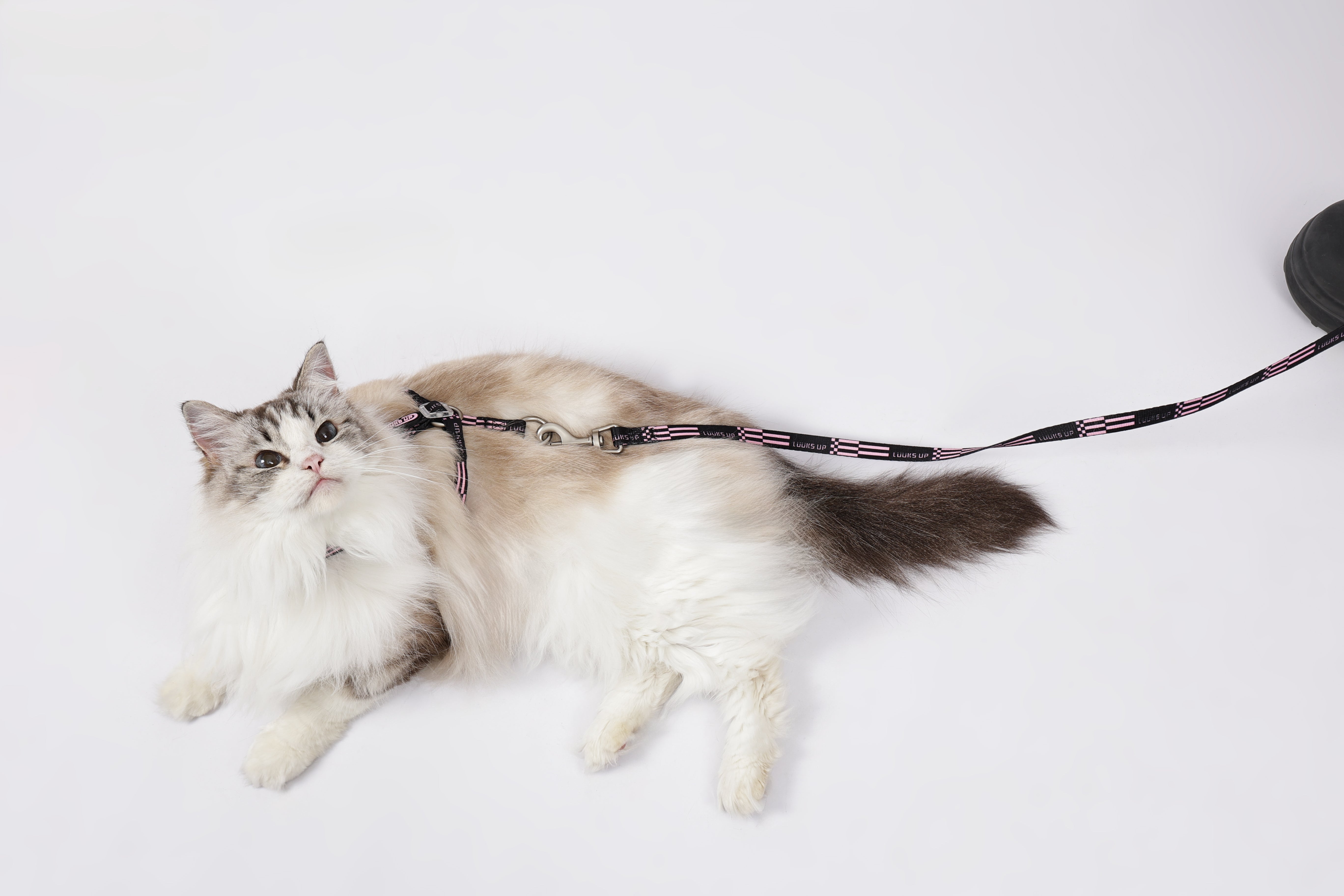 URBAN SPORT Cat harness&leash set - Black pink