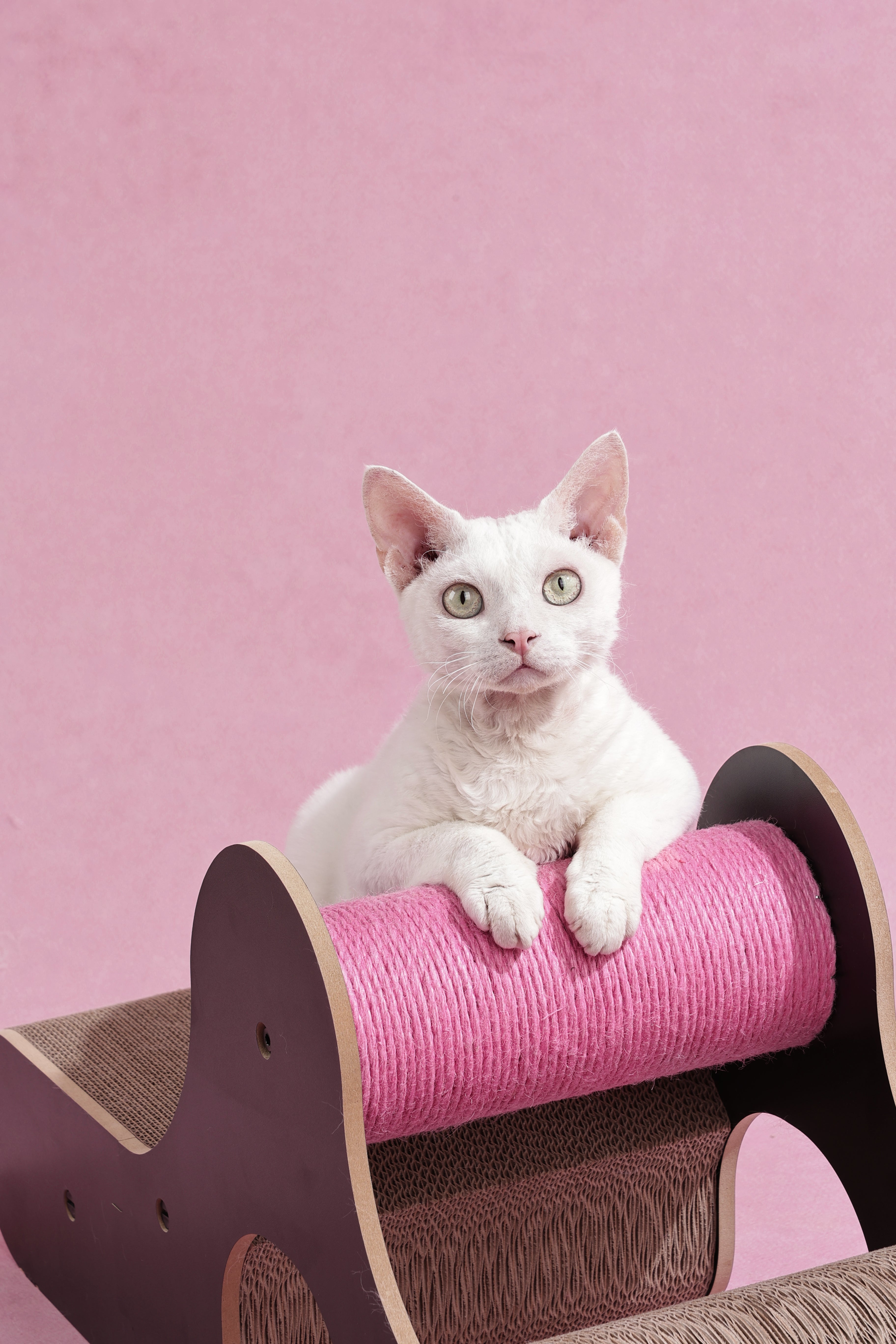 Creeper Cat Scratcher