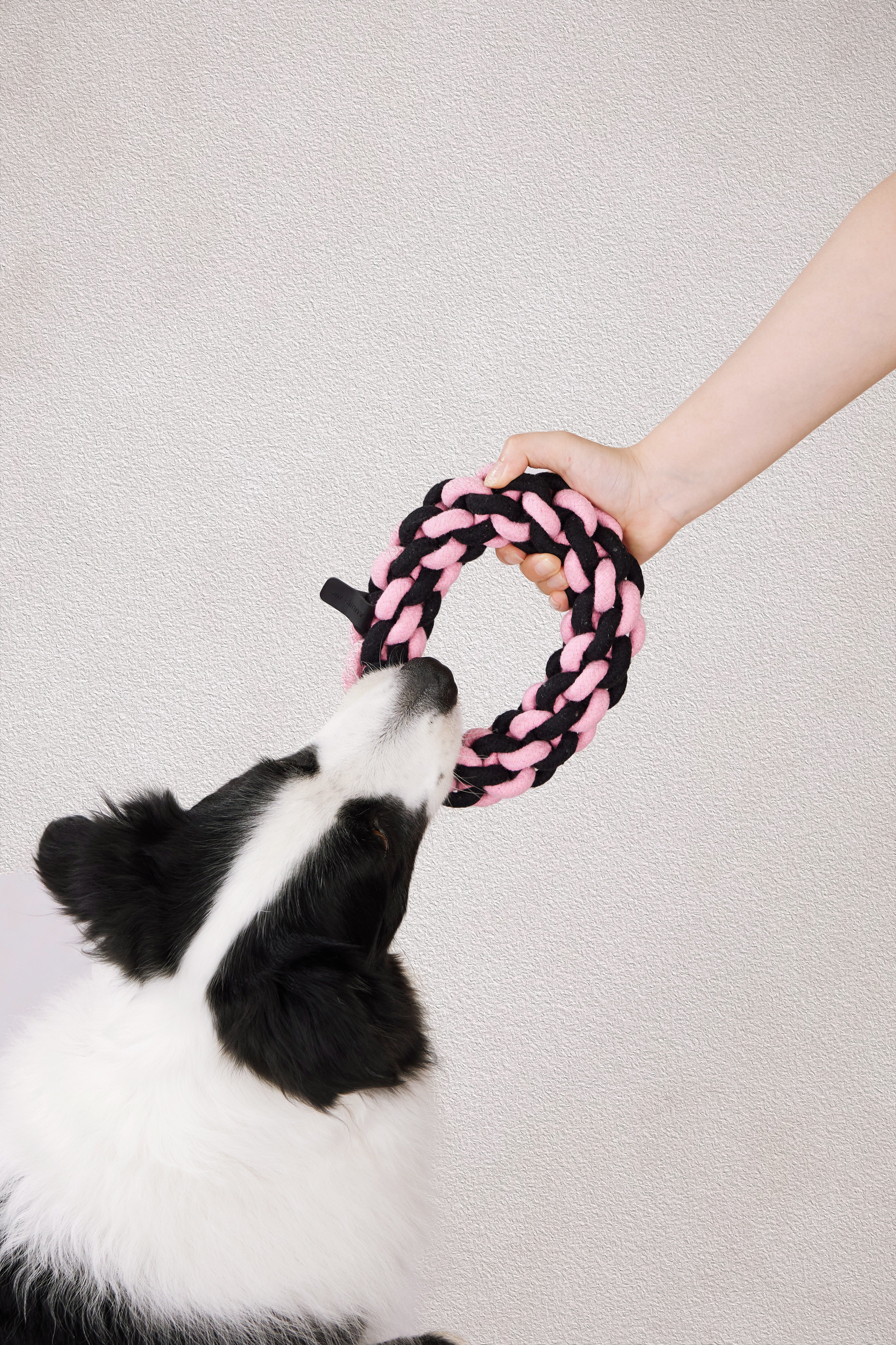 Rope Dog Toy Ring 18cm