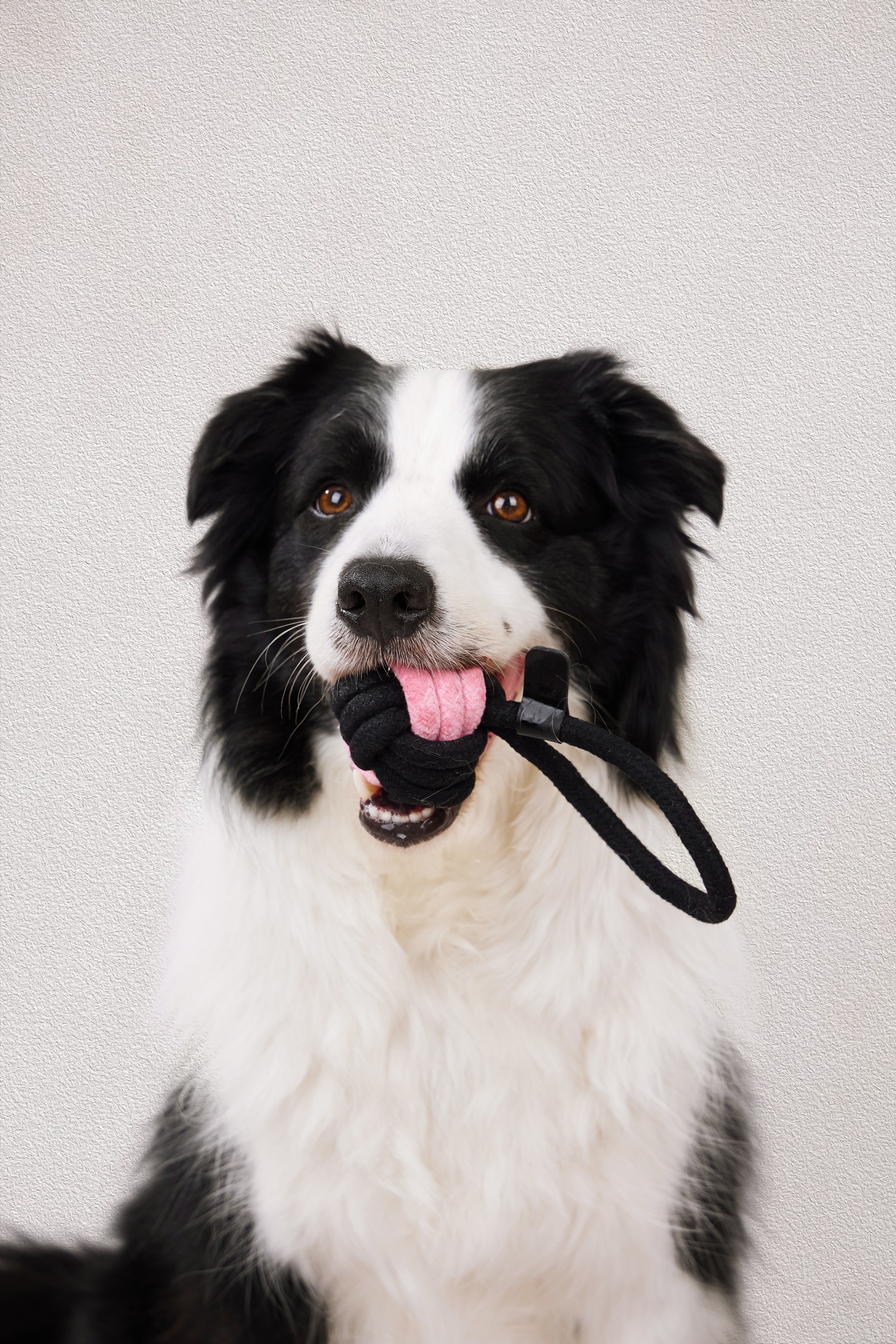 Rope Dog Toy Ball With Handle 11cm