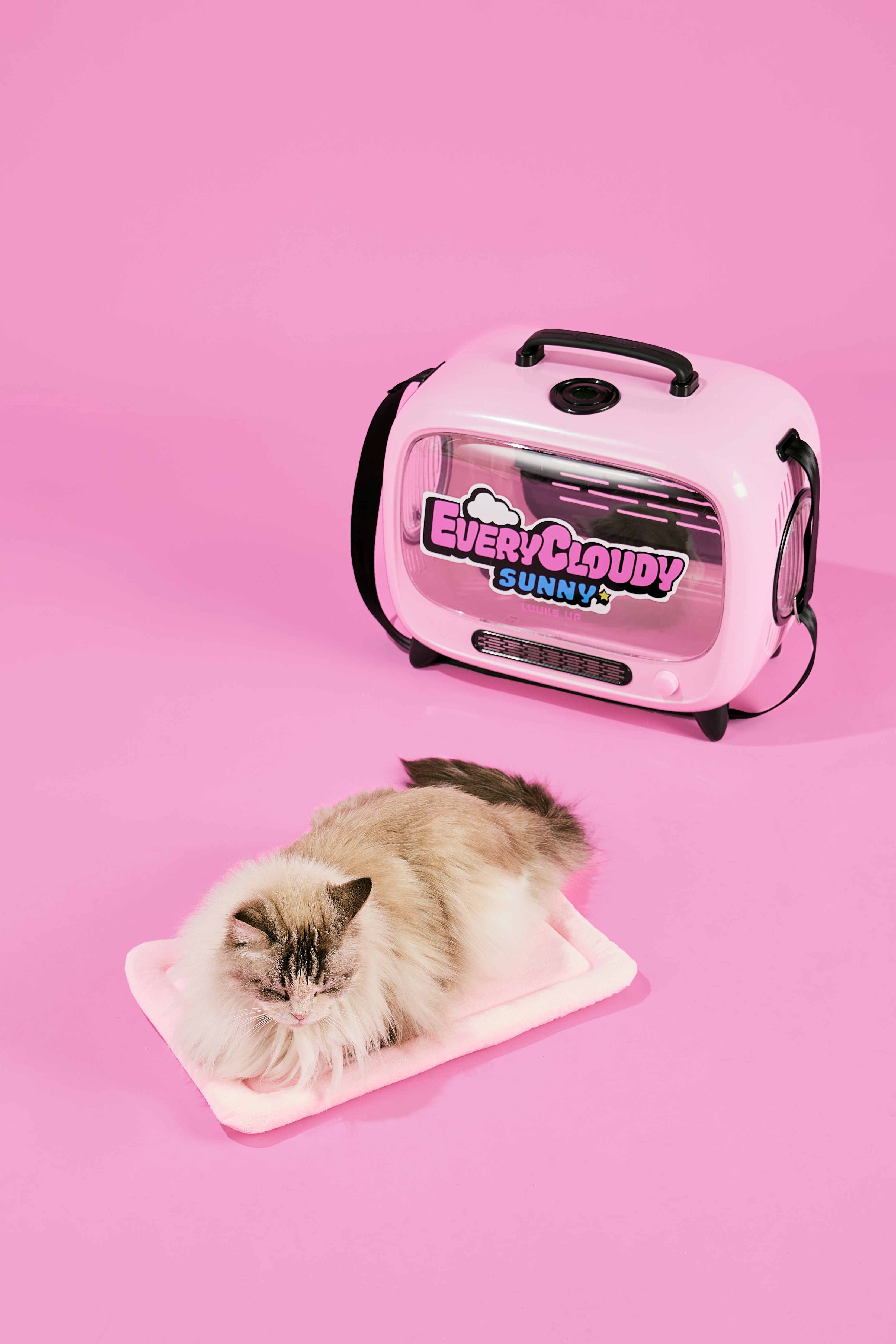 Pet Travel Bag - Black & Pink TV