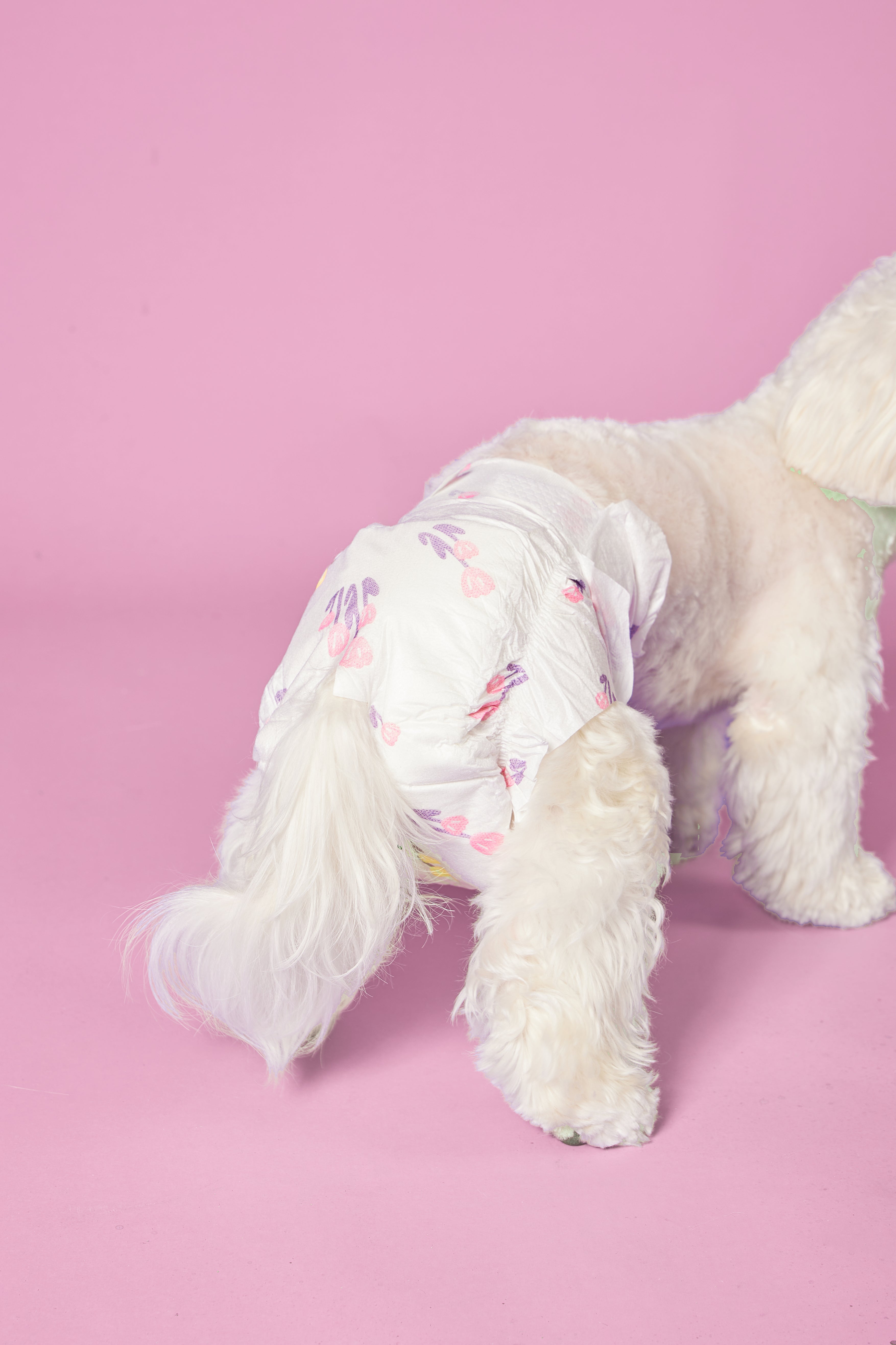Pet Diaper Female Dog