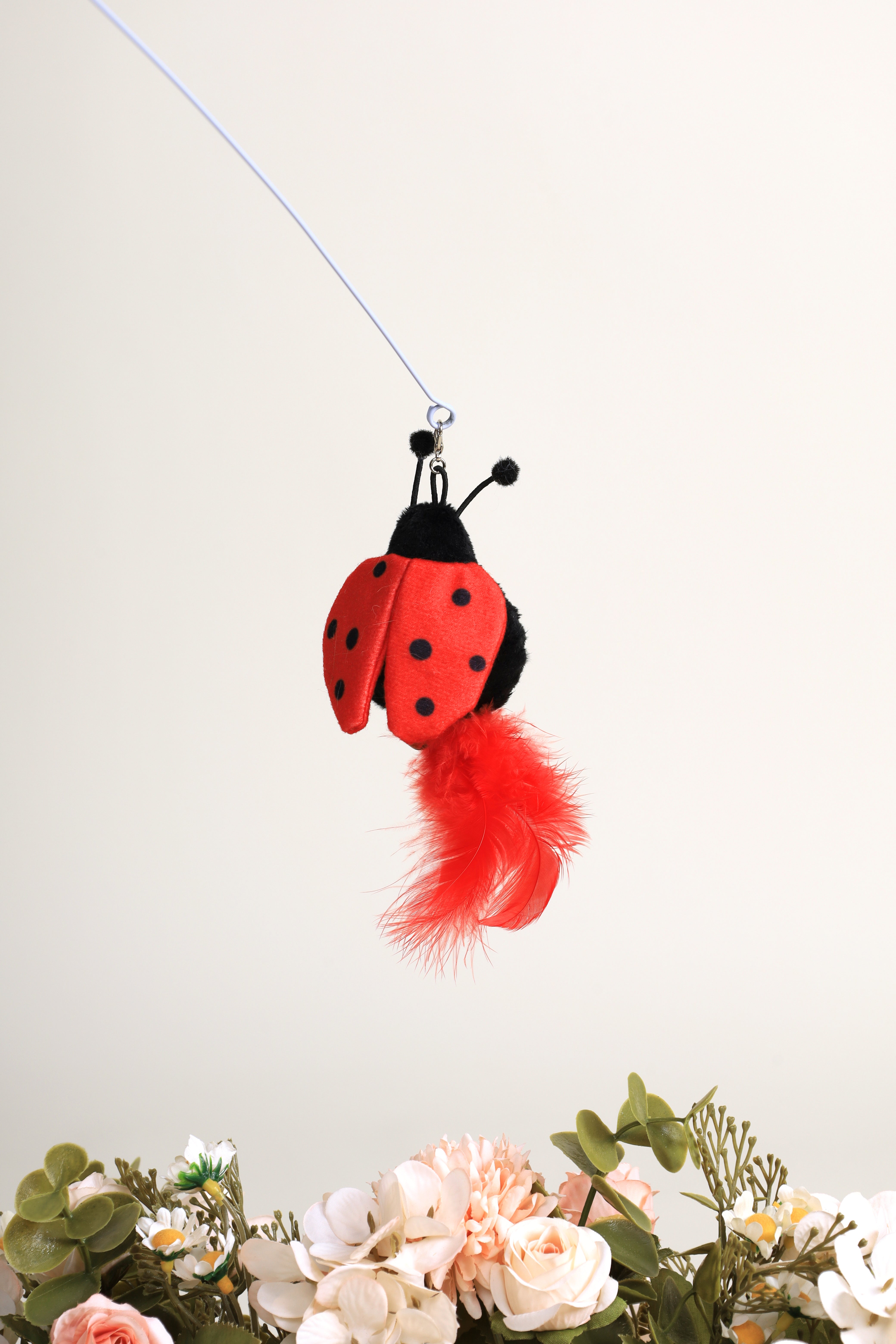 Bug Bounce Cat Teaser -Red Ladybug