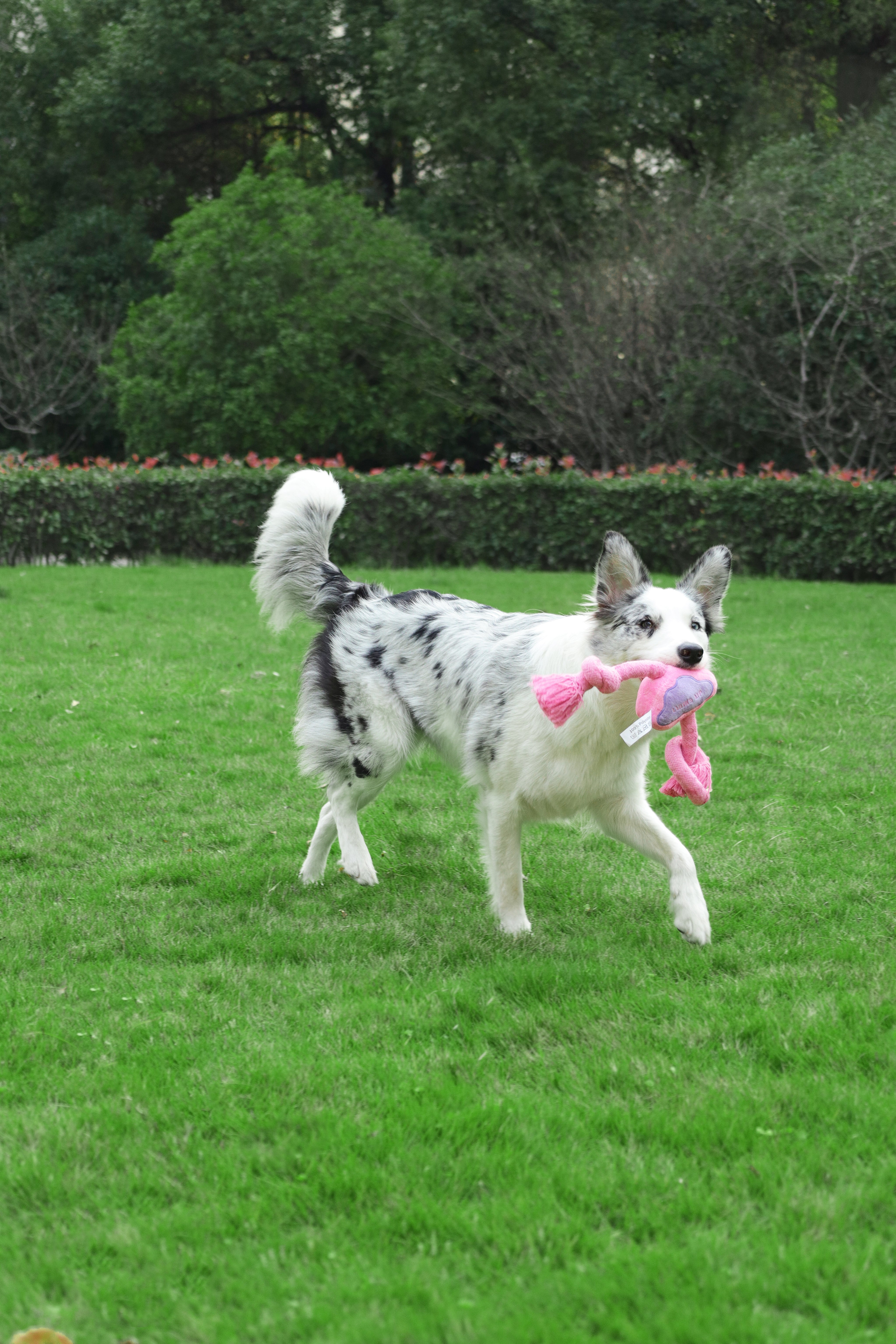 Rope Toy - Pink Cloud