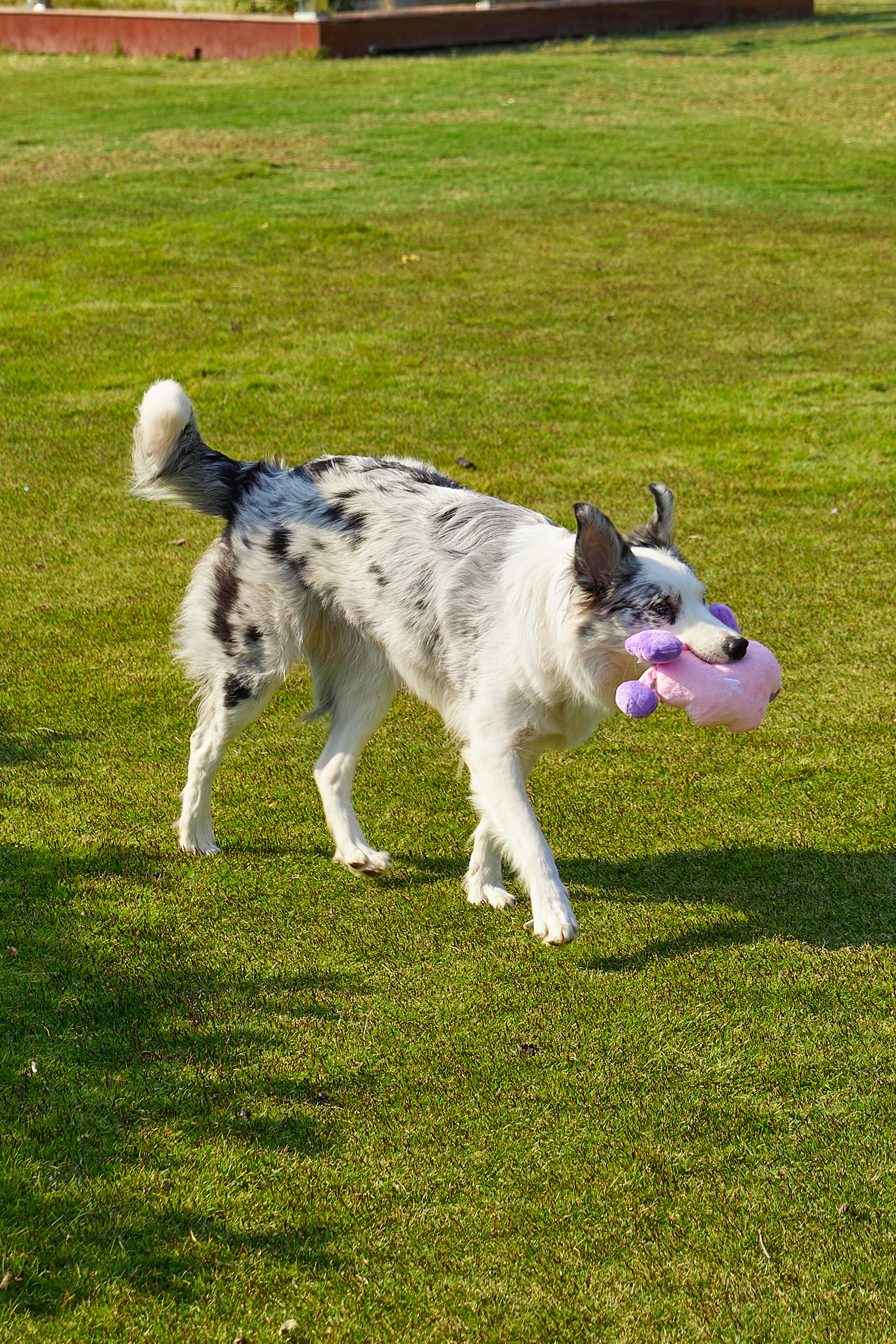 Weather Series Dog Plush Toy - Pink Cloud