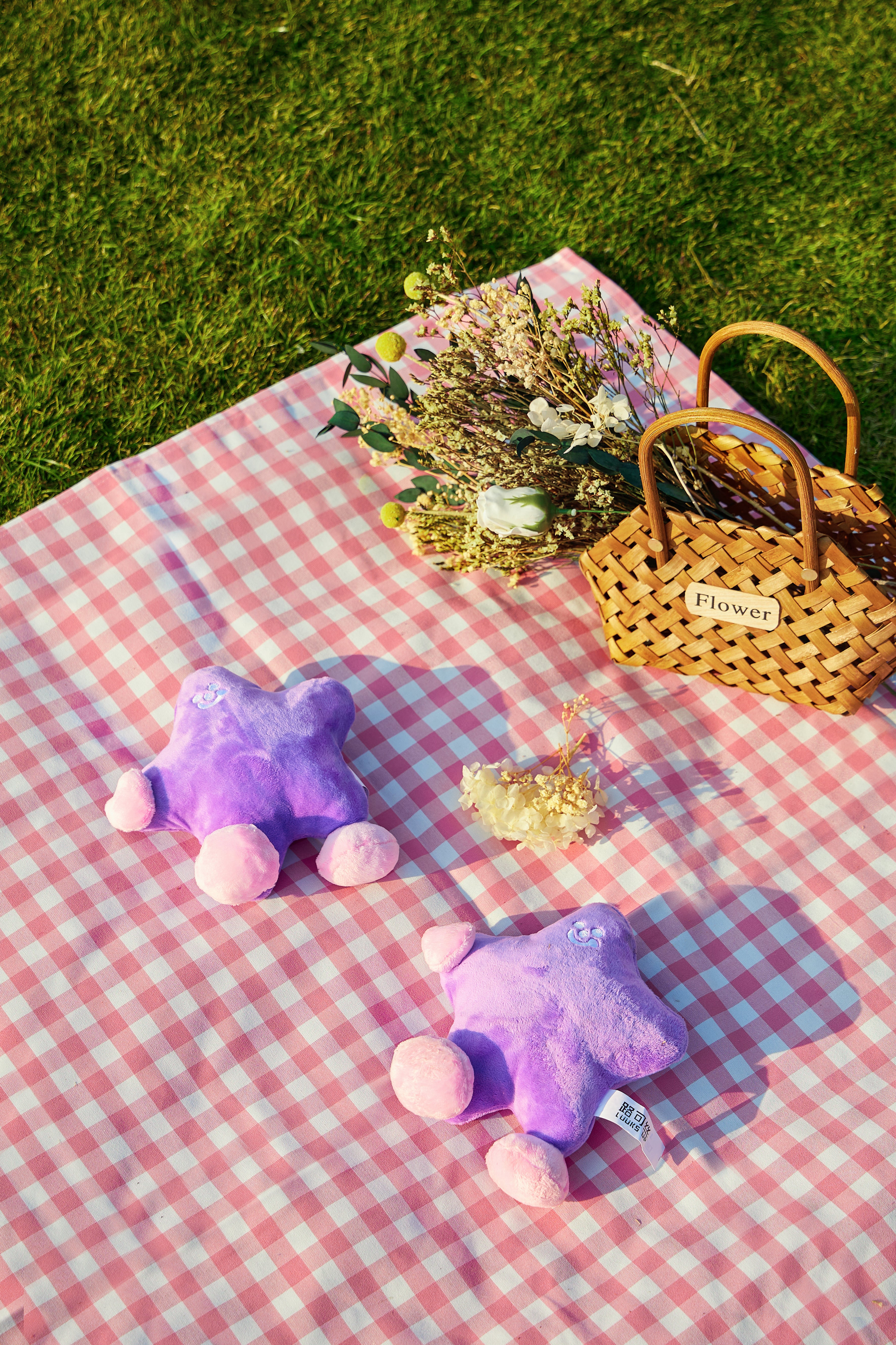 Star Dog Plush Toy - Purple