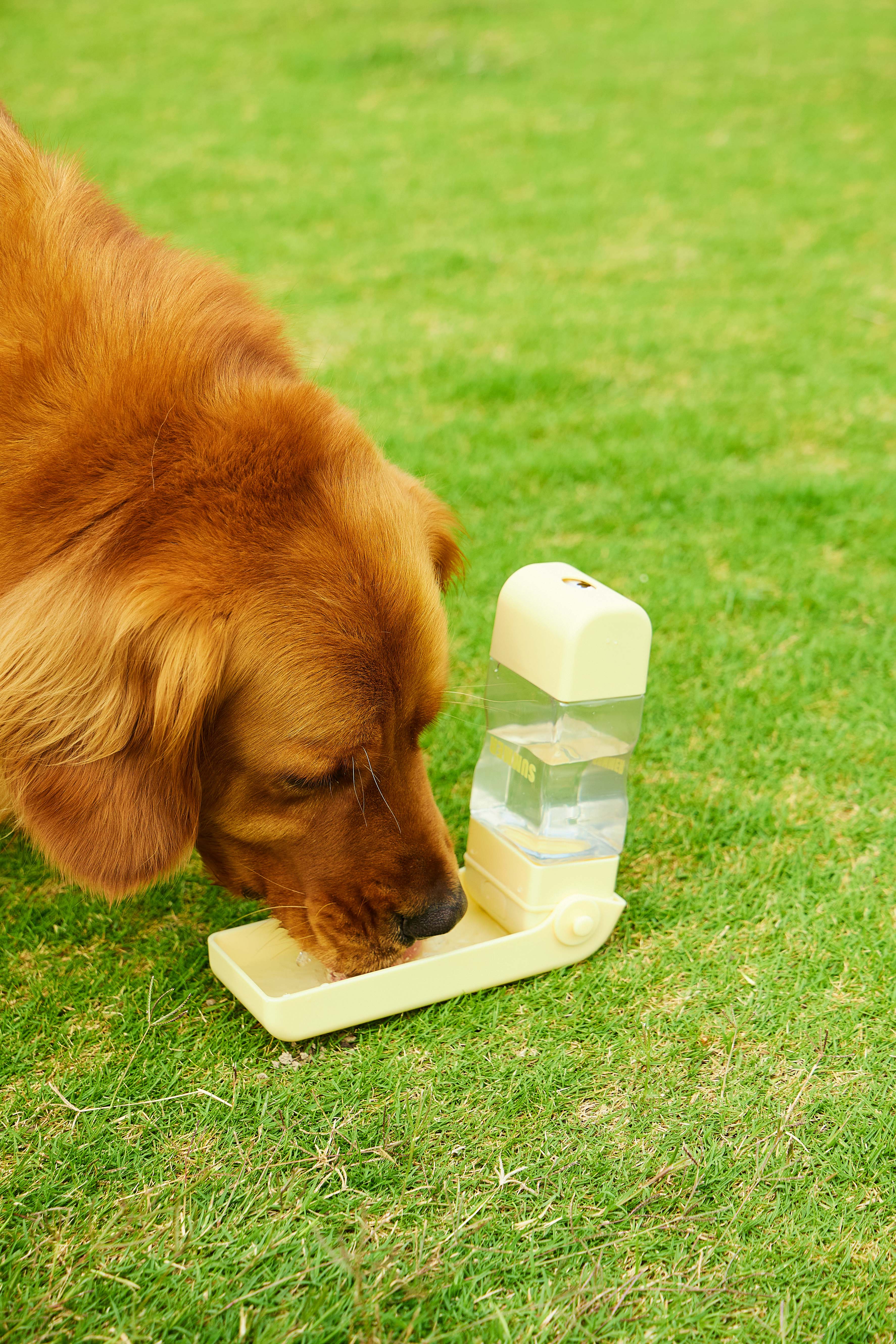Rainbow Pet Travel Water Cup - With Poop Bag - Yellow