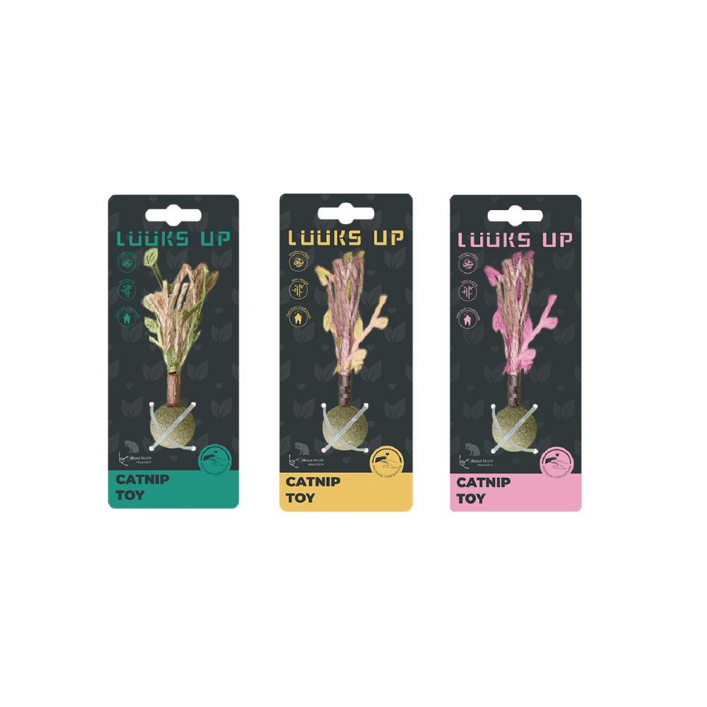 Wish Seeds Catnip Toys